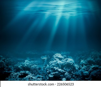 Sea deep or ocean underwater with coral reef as a background - Shutterstock ID 226506523