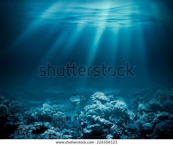 以珊瑚礁为背景的深海或海洋水下库存照片 立即编辑