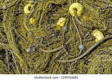 Sea Drift Net Which Dries In The Summer Sun.