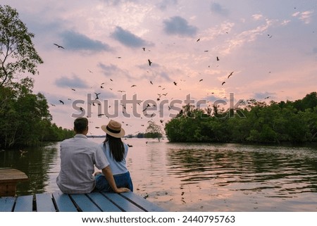 Sea Eagles at sunset in the mangrove of Chantaburi in Thailand, Red backed sea eagle , couple of men and women watching the sunset on a wooden pier in the mangrove forest