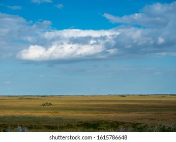 Sea Of Everglades Saw Grass Under A Brilliant Blue Sky With Fluffy  Clouds In Everglades National Park, Florida, USA