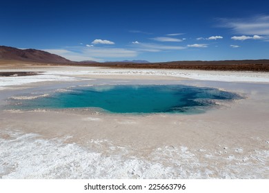 Sea Eye Lagoon (Ojos Del Mar), Salta, Argentina