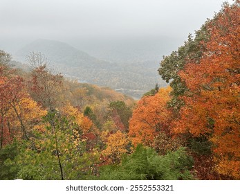 A sea of fiery fall foliage blankets the New River Gorge, as misty fog weaves through the valley below. Nature's canvas comes alive in brilliant hues, offering a serene, breathtaking autumn spectacle. - Powered by Shutterstock