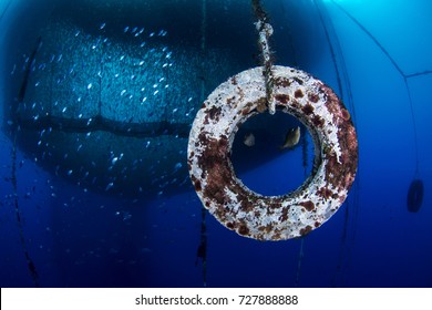 Sea Fish Farm. Cages For Fish Farming Dorado And Seabass.Underwater View.