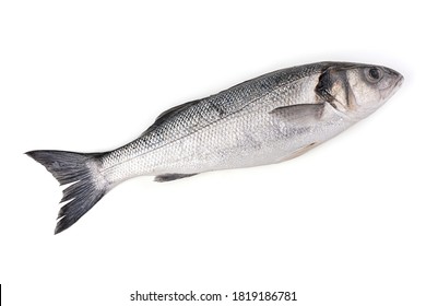 Sea Fish, Wolf Or Sea Bass On A White Background