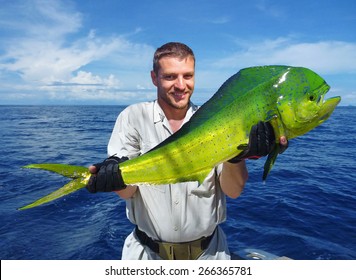Sea fishing, catch of fish. Fisherman holding a dolphin fish