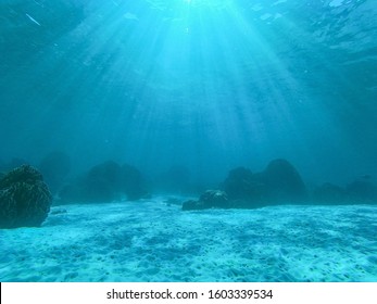 Sea Or Sea Floor With Coral Reef, Underwater View