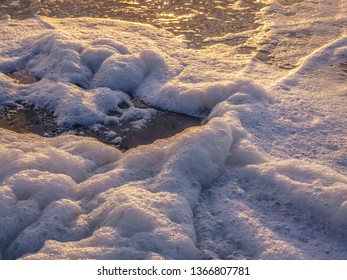 Sea Foam (a Habitat For Marine Microorganisms Such As Zooplankton, Phytoplankton, Algae, And Protozoans) On Coastal Beach At Sunrise