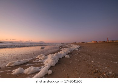 .Sea Foam, A Habitat For Marine Microorganisms Such As Zooplankton, Phytoplankton, Algae, And Protozoans. On Coastal Beach At Sunset.