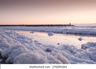 Sea Foam, A Habitat For Marine Microorganisms Such As Zooplankton, Phytoplankton, Algae, And Protozoans. On Coastal Beach At Sunset.