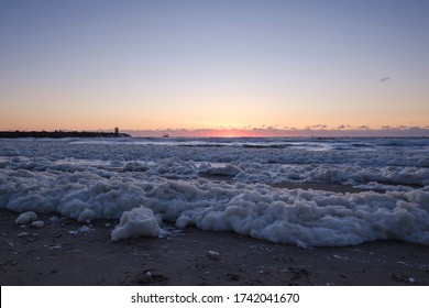 Sea Foam, A Habitat For Marine Microorganisms Such As Zooplankton, Phytoplankton, Algae, And Protozoans. On Coastal Beach At Sunset.