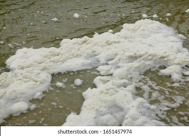 Sea Foam At The Manatee Viewing Area In Apollo Beach, Florida