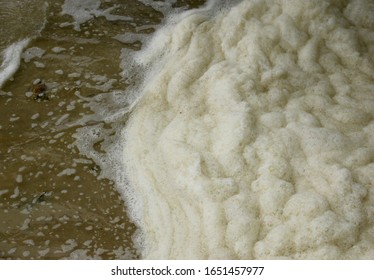 Sea Foam At The Manatee Viewing Area In Apollo Beach, Florida