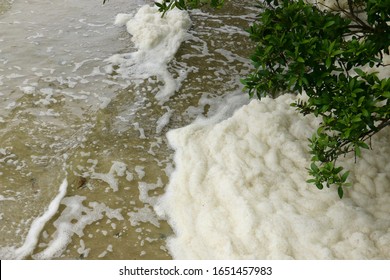 Sea Foam At The Manatee Viewing Area In Apollo Beach, Florida