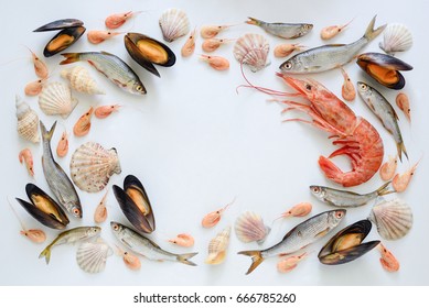 Sea Food Composition, Flat Lay Of Fishes, Shrimps, Shells And Mussels, View From Above, Space For A Text