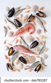 Sea Food Composition, Flat Lay Of Fishes, Shrimps, Shells And Mussels, View From Above