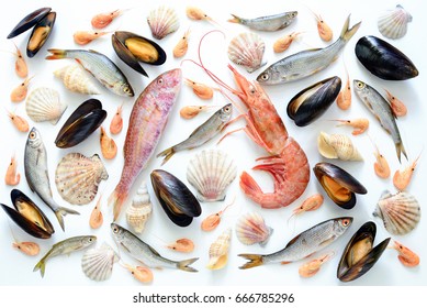 Sea Food Composition, Flat Lay Of Fishes, Shrimps, Shells And Mussels, View From Above