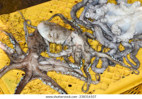 Sea Food Fish Market India Heap Stock Photo Edit Now 238316107