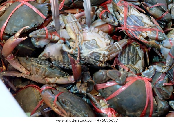 Sea Food, fresh\
crab.