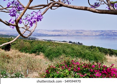 The Sea of Galilee and Capernaum viewed from the Church Of The Beatitudes, Israel