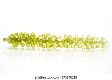 Sea Grapes Green Caviar