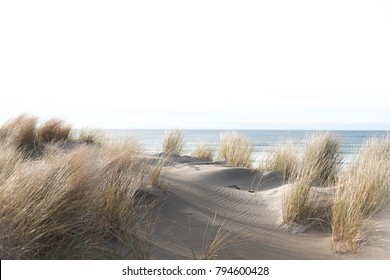 Sea grass sways in the Cannon Beach ocean breeze.  - Shutterstock ID 794600428