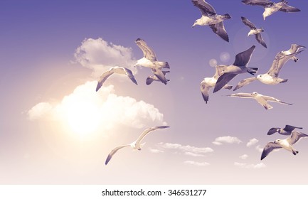 Sea gull flying through the air during a sunny vacation day - Shutterstock ID 346531277