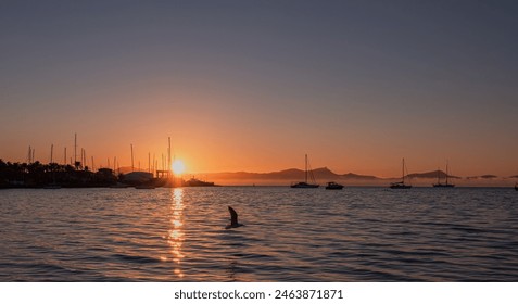 Sea harbor at dawn. The sky, painted golden by the rising sun, is reflected in the calm ripples of the sea. The yachts stand out in beautiful silhouettes against the sky, bathed in the light of dawn. - Powered by Shutterstock