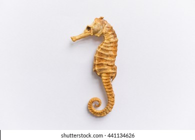 Sea Horse Isolated On White Background