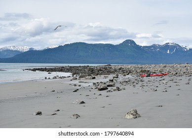 Sea kayaking in Glacier Bay National Park