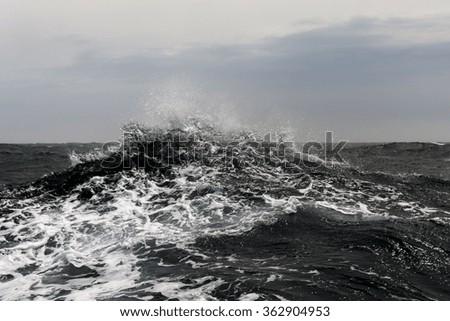 Similar – Image, Stock Photo ora Coast Ocean Water