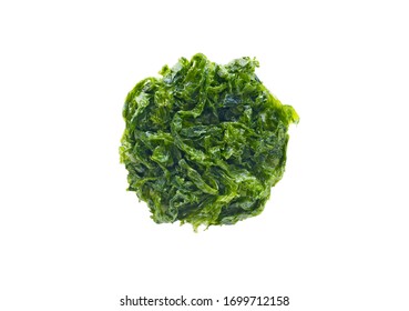 Sea Lettuce Isolated On White Background