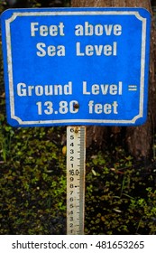 Sea Level Marker At 6 Mile Cypress Slough, Florida