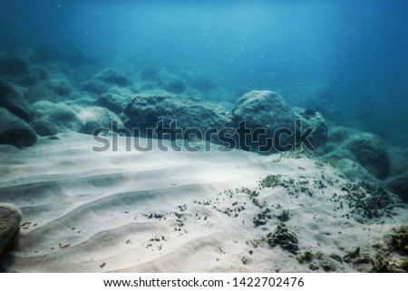 Sea Life Underwater Rocks Sunlight, Underwater Life