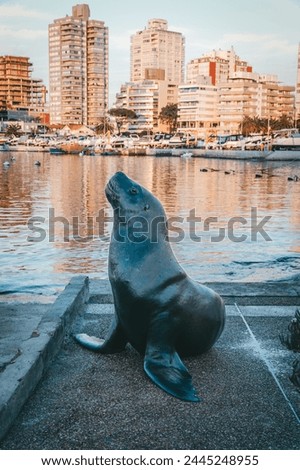 sea lion posing in the port waiting for fish