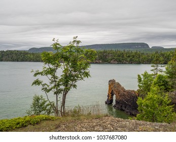 Sea Lion At Sleeping Giant Provincial Park