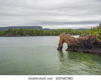 Sea Lion At Sleeping Giant Provincial Park