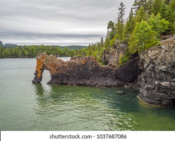 Sea Lion At Sleeping Giant Provincial Park