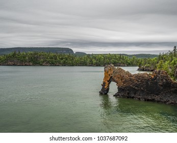 Sea Lion At Sleeping Giant Provincial Park