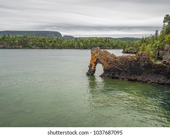 Sea Lion At Sleeping Giant Provincial Park