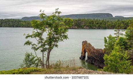 Sea Lion At Sleeping Giant Provincial Park