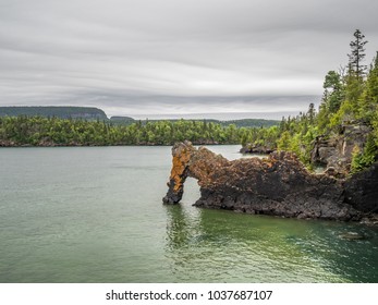 Sea Lion At Sleeping Giant Provincial Park