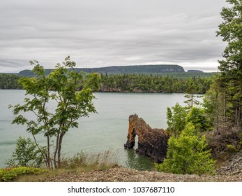 Sea Lion At Sleeping Giant Provincial Park