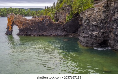 Sea Lion At Sleeping Giant Provincial Park