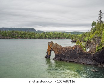 Sea Lion At Sleeping Giant Provincial Park