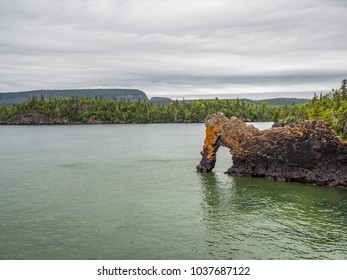 Sea Lion At Sleeping Giant Provincial Park