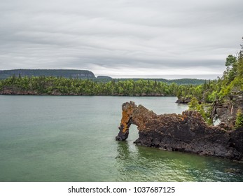 Sea Lion At Sleeping Giant Provincial Park