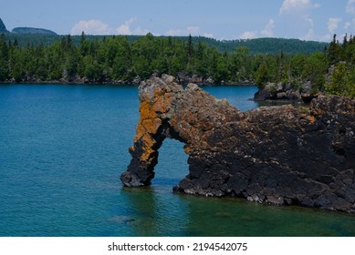 Sea Lion In Sleeping Giant Provincial Park