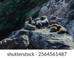 Sea lions on Ballestas Islands