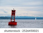 Sea Lions on Buoy in Puget Sound near Seattle with Mount Rainier